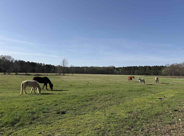 Sunshine Ln., Pangburn, AR 72121-0000