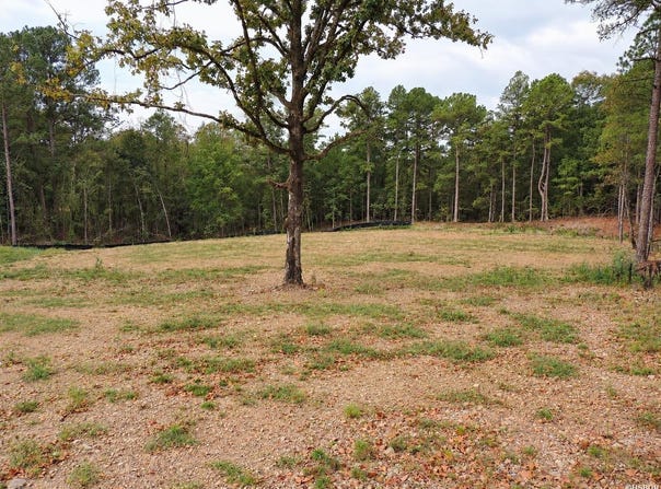 10 FIELDSTONE PASS, Pearcy, AR 71964