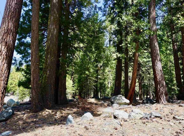59 Yonkalla Trail lot: 100, Graeagle, CA 96103