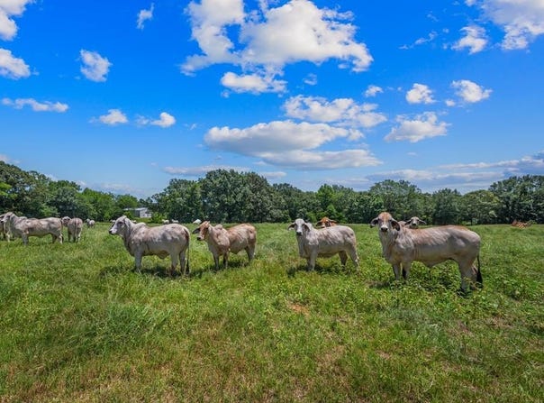 522 CR 2717, Alto, TX 75925