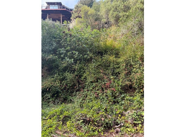 Sheffield, Cambria, CA 93428