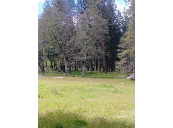 1411 McAlexander, Hayfork, CA 96041