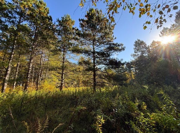 540th Lane, Palisade, MN 56469
