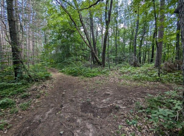 Fosmo lot: 2, Webster, WI 54893
