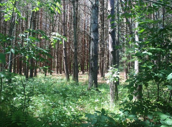 00 STONE CIRCLE DRIVE, KEWADIN, MI 49648