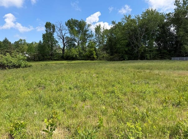 155 Reece Rd Lot 106, Baxter, TN 38544