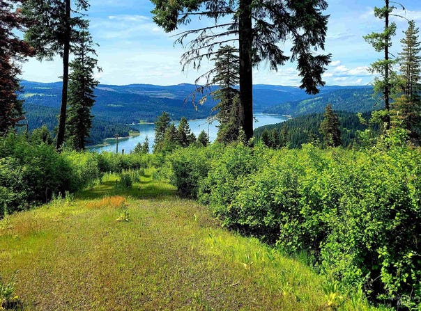 86 Moon River Lane, Orofino, ID 83544