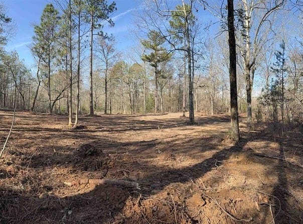088 MCKESIE STREET lot: 8, RIVERSIDE, AL 35135