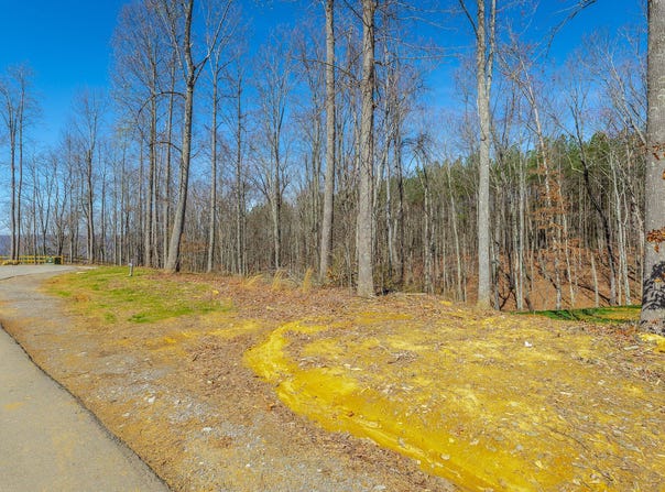 Moonlight Lane lot: Jf437, Jasper, TN 37347