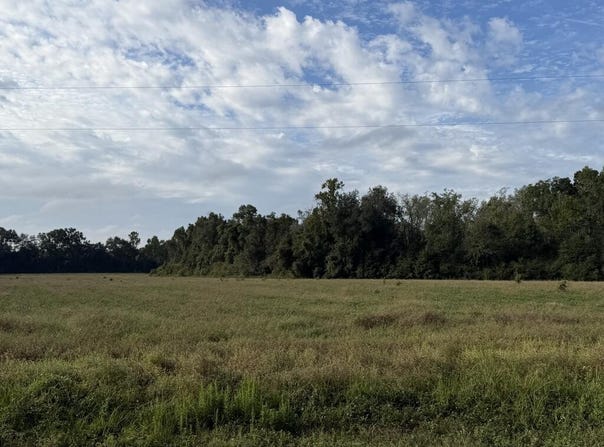 31.82+-ac D Hodge Rd, Cottonwood, AL 36320