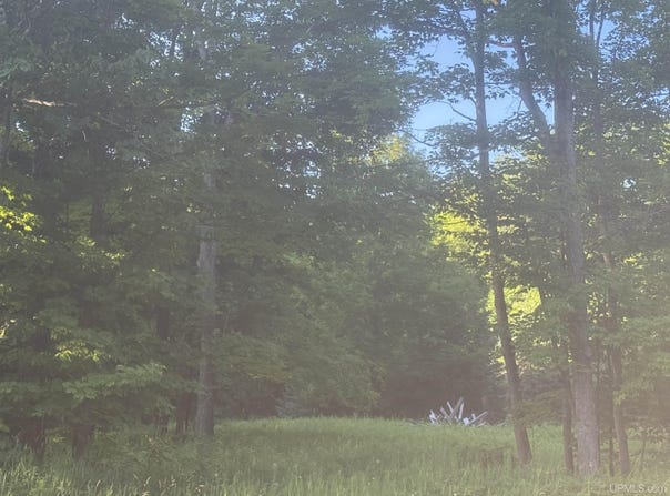 M69 Highway, Sagola, MI 49881