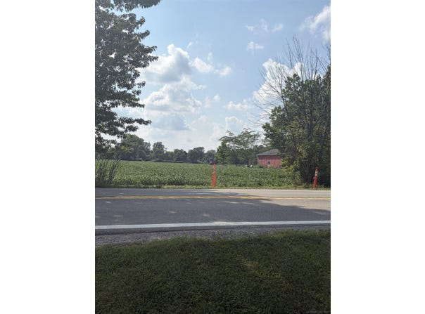 Capac Road, Armada Twp, MI 48005