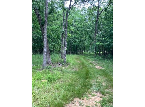 280 Madison CR 410, Fredericktown, MO 63645