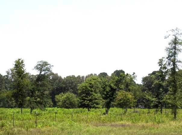 138 Little River 183, Ashdown, AR 71822
