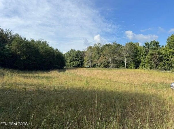 Davis Rd lot: 4-7, Deer Lodge, TN 37726