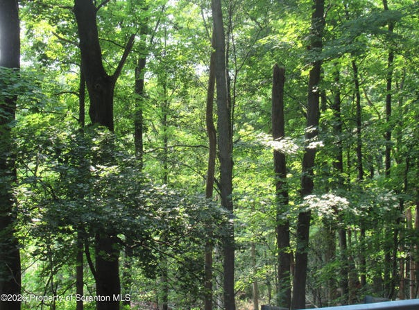 Old State Road, Clarks Summit, PA 18411