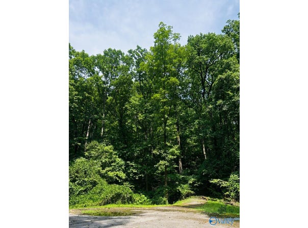 6 Northwoods Trail, Gadsden, AL 35901