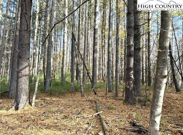 Jr Dairy Road, Ennice, NC 28623