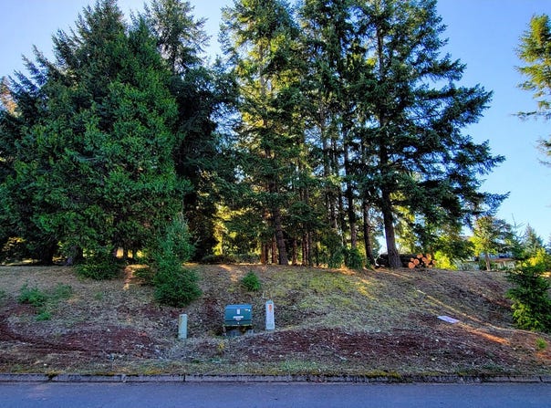 Hiland Ranch Dr, Oakridge, OR 97463