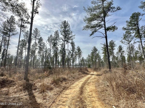 2 Dry Grove Road, Terry, MS 39170