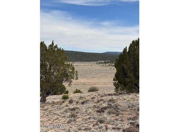 38 CR 8250, Concho, AZ 85924