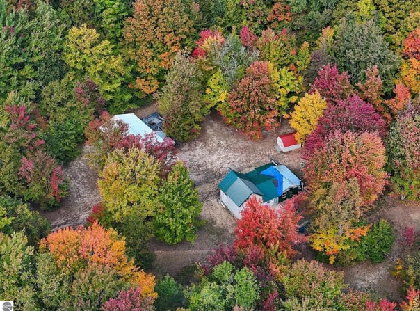 11096 DIRT ROAD, MESICK, MI 49668