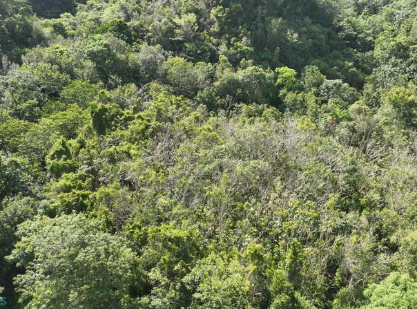 Hato Viejo, Arecibo, PR 00612