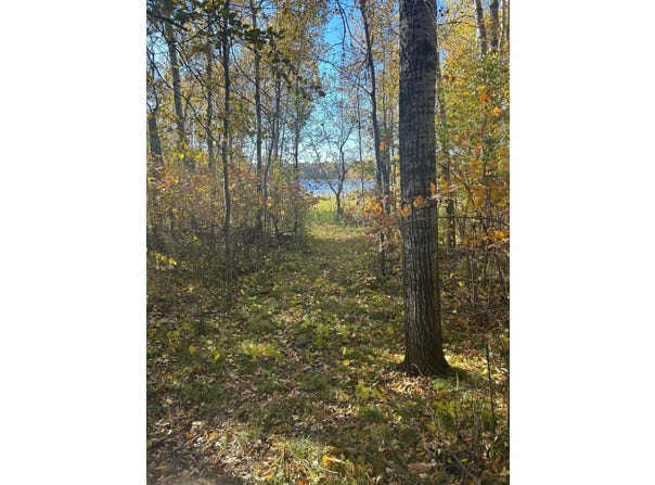 39xxx Osage Drive, Browerville, MN 56438