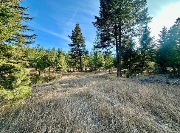 Martinez Gulch Road, Clancy, MT 59634