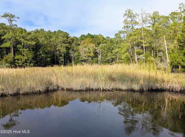 238 Mill Creek Road, Stella, NC 28582