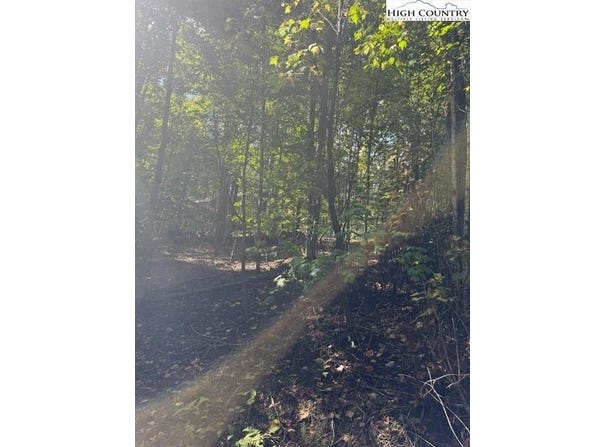 166 Wild Iris, Beech Mountain, NC 28604