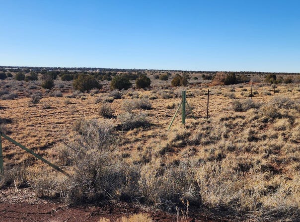 110 Acres 180 & 180A, Concho, AZ 85924