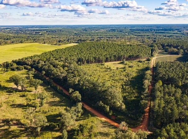 Bell Crossing Road, Opp, AL 36467