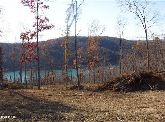 Whitetail Lane, LaFollette, TN 37766