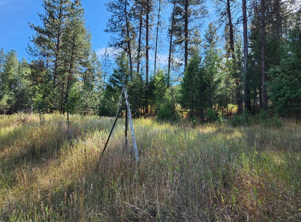 PINE GROVE St, REPUBLIC, WA 99166