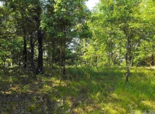 46 Binefar Way, Hot Springs Village, AR 71909