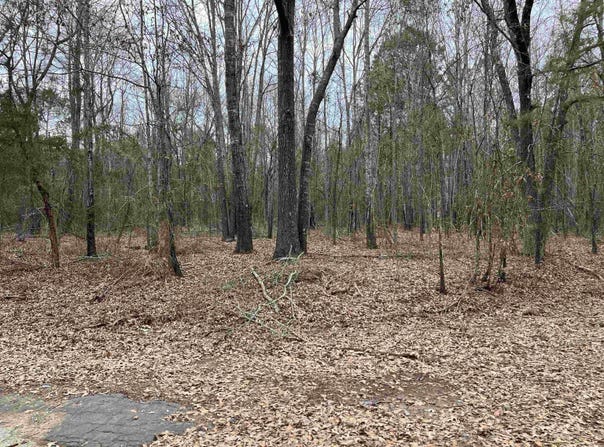 Tract 4 Venus Rd, White Oak, TX 75693