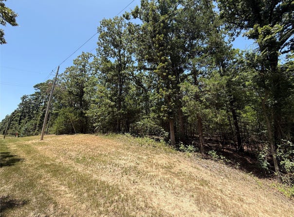 Whispering Pine Trail, Mount Vernon, TX 75457