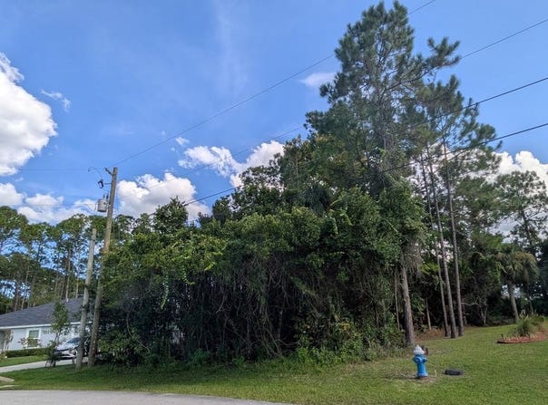 7 SECKEL CT, PALM COAST, FL 32164