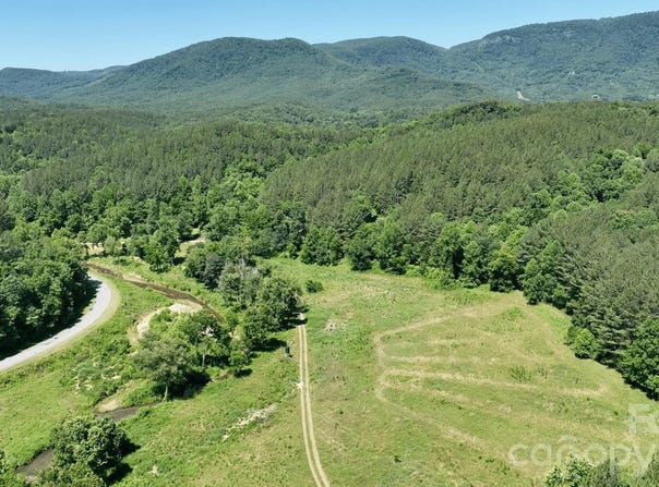 1194 Palmer Road, Mill Spring, NC 28756