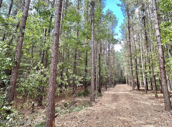 2 Clara Foote Rd, Braxton, MS 39044