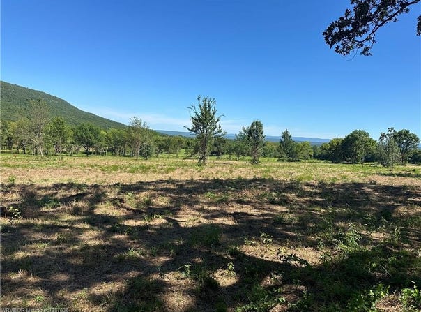 808 Morris Creek RD, Heavener, OK 74937