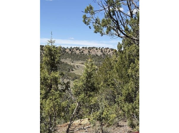 J8 Road, Mancos, CO 81328