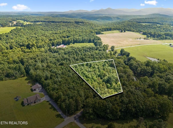 Ridge Rd, Lancing, TN 37770