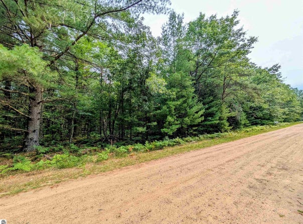 Hillside Drive, Alger, MI 48610