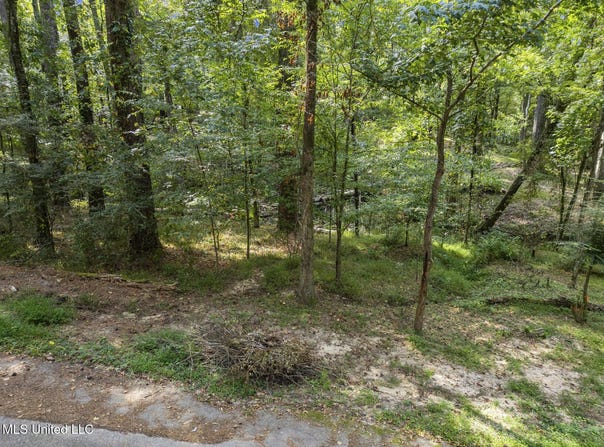 Drexel Circle, Clinton, MS 39056