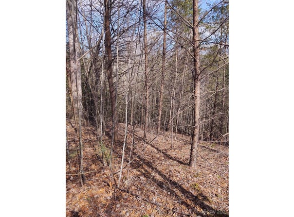 2 Riverview Forest Drive, Marion, NC 28752