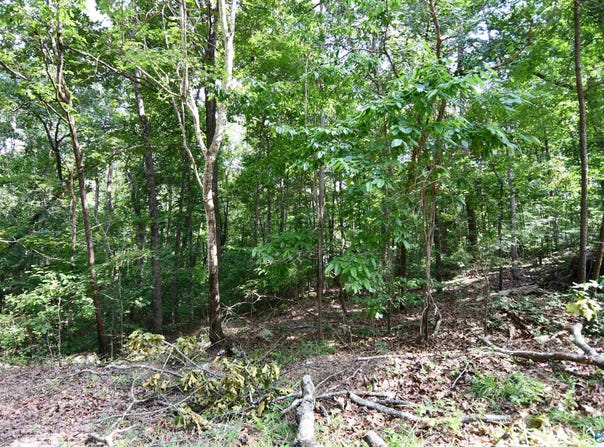 Prince Circle lot: 67, Southside, AL 35907