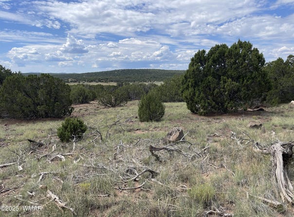 35 Burns Road, Concho, AZ 85924