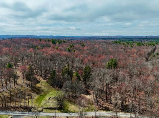 Cranberry Rd, Wawarsing, NY 12489